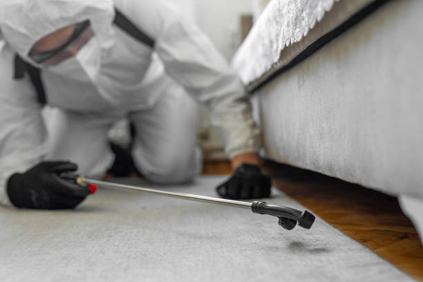 Professional Termite Control technician working in Falfurrias, TX