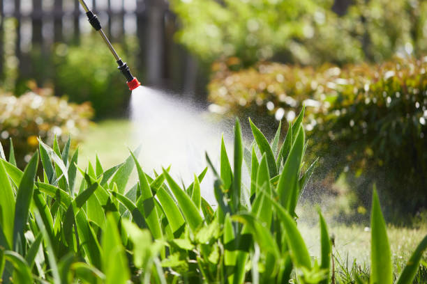 24/7 Emergency Termite Control experts in Falfurrias, TX